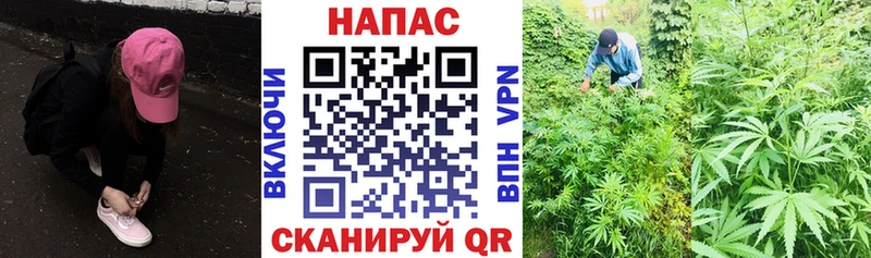 Где купить наркоту Зеленодольск МАРИХУАНА Кокаин A PVP МЕФ blacksprut сайт ГАШ