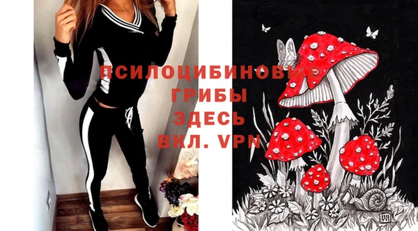 эйфоретик Зеленодольск