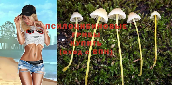 эйфоретик Зеленодольск